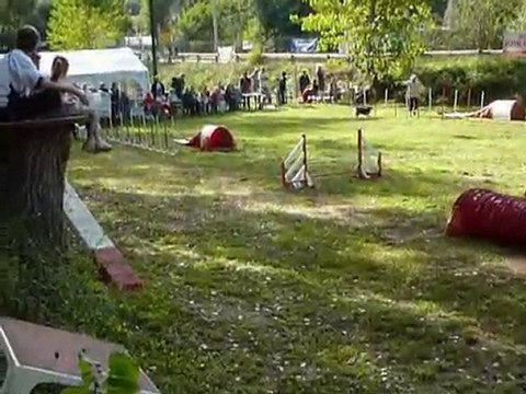 Bianca - KO Villeneuve Loubet