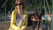 Le rôle des chiens guides d'aveugles (Toulouse)