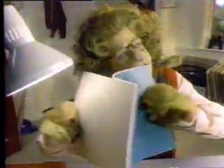 Mead Five-Star notebooks