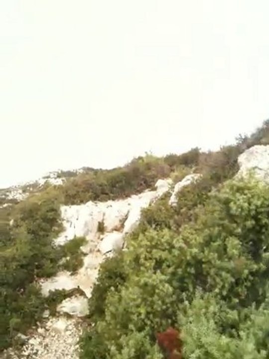 Figuieres team espigaou