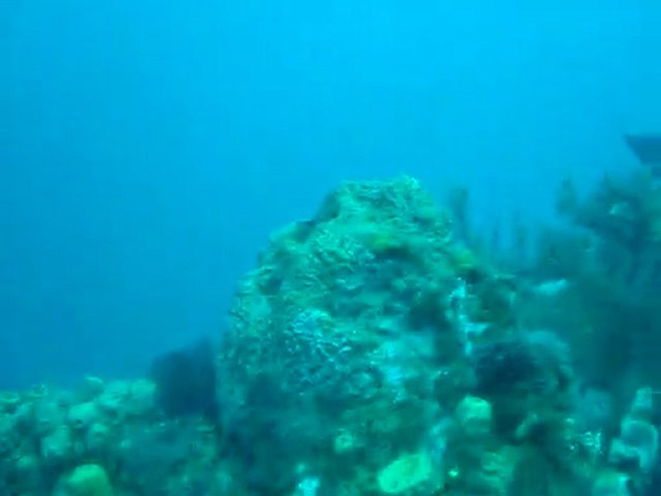 Plongée subaquatique au sec pâté en Guadeloupe