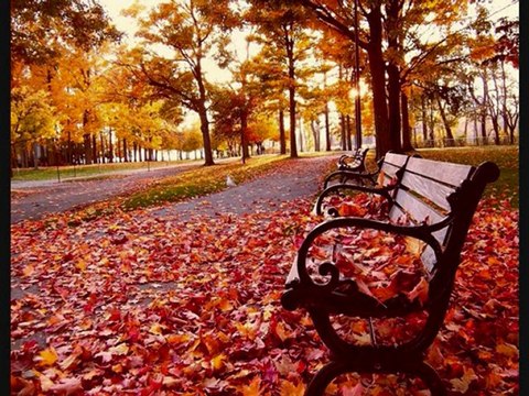 Sonbaharın Rengi-Ney (Terapi Müzik)