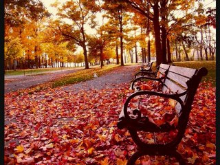 Sonbaharın Rengi-Ney (Terapi Müzik)