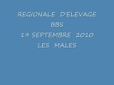 REGIONALE D'ELEVAGE  BBS  19 SEPTEMBRE 2010  LES MALES