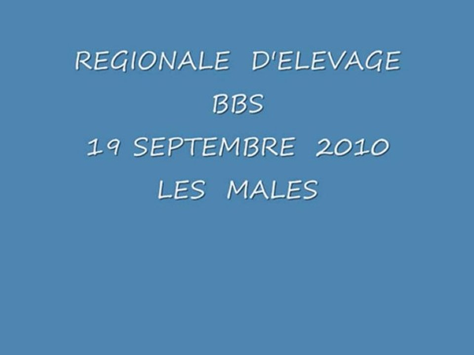 REGIONALE D'ELEVAGE  BBS  19 SEPTEMBRE 2010  LES MALES