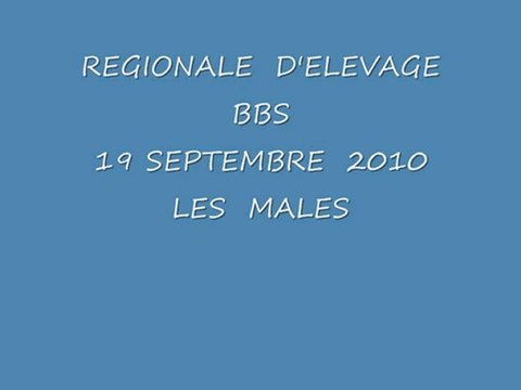 REGIONALE D'ELEVAGE BBS 19 SEPTEMBRE 2010 LES MALES
