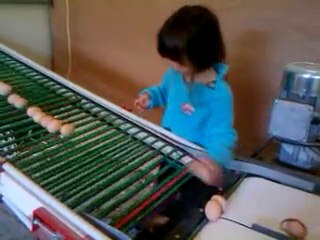 Elsanor ->Le ramassage des oeufs par isawenn