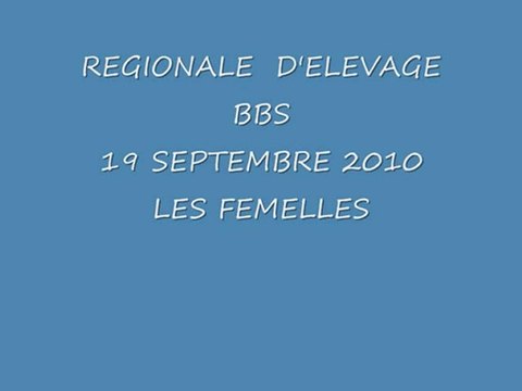REGIONALE D'ELEVAGE BBS 19 SEPTEMBRE 2010 LES FEMELLES