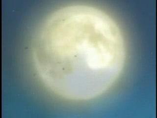 Sakura_Tsunade by Chidori Kaname