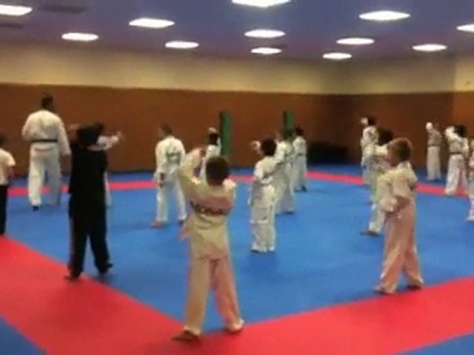 Alvin au Taekwondo