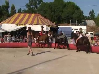 Les Voltigeurs (Acro-Caval)