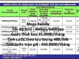 Lắp đặt internet vnpt tại TPHCM 0982923767