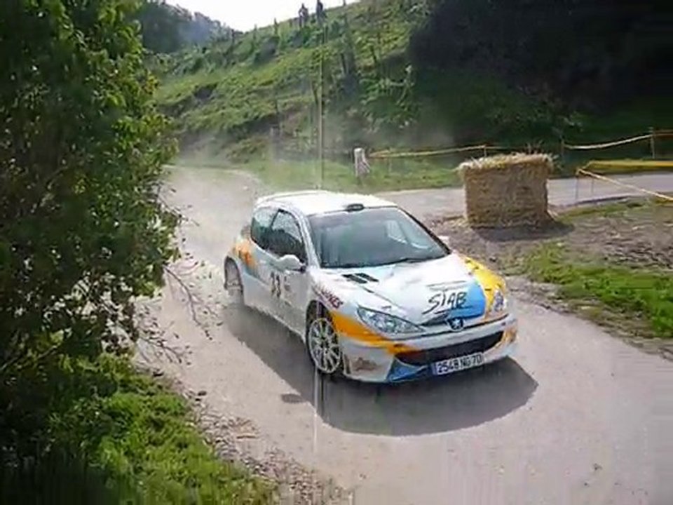 Rallye vosgien 2010