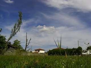 peuplier tout creux envoyé par dessus cloture béton ;)