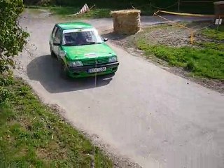 Rallye vosgien 2010