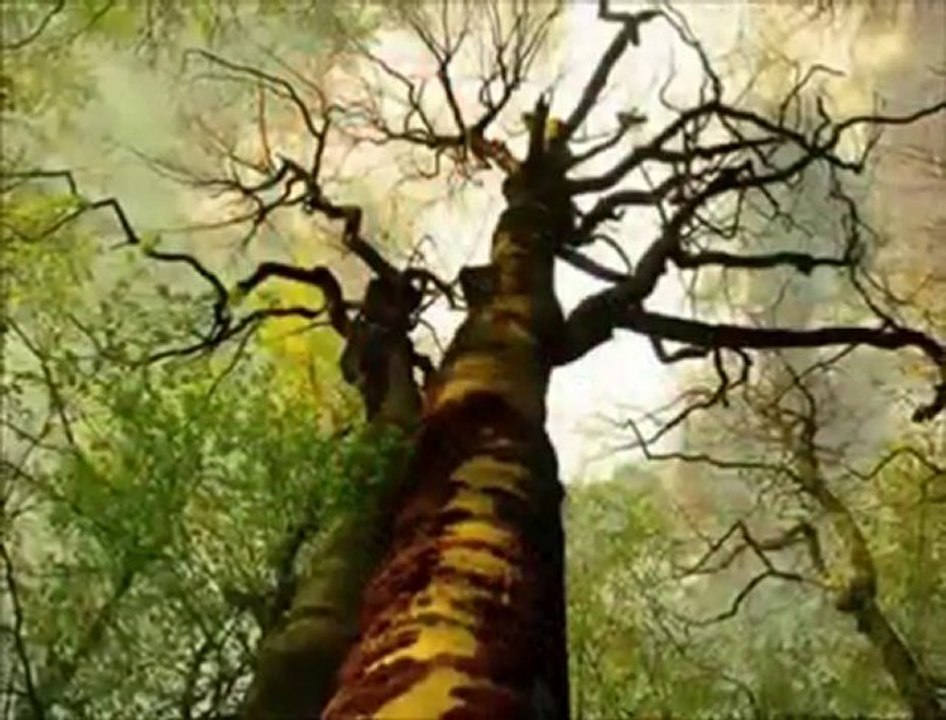 ilahi * Engel Olur mu *