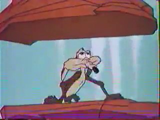 Road Runner versus Coyote