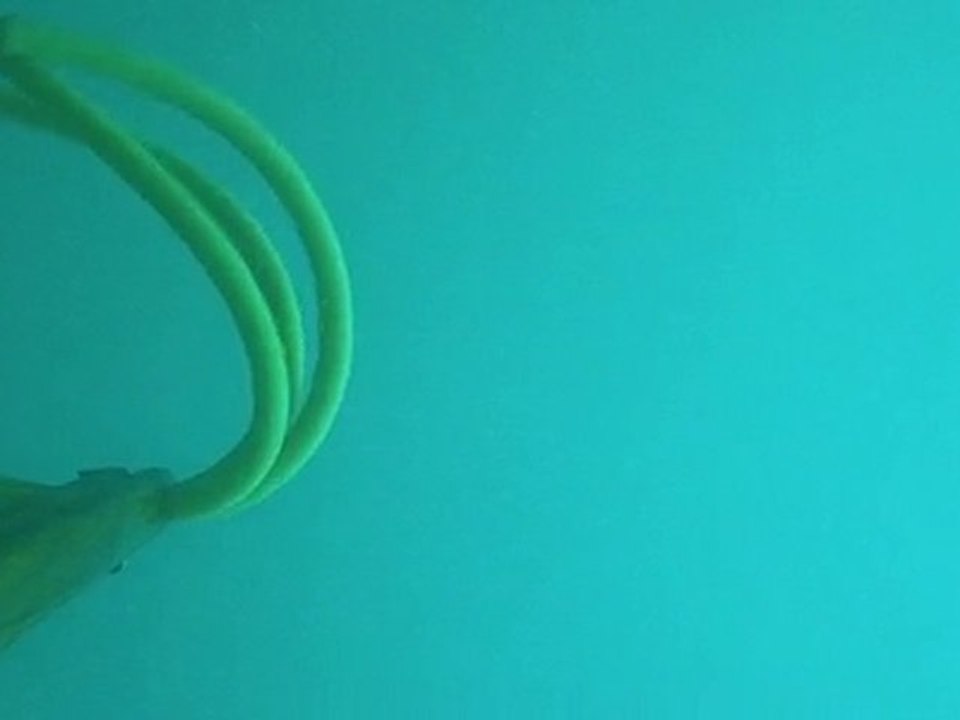 spearfishing senegal