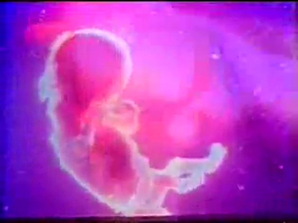 Rede Globo Intervalo Comercial Sessão Comédia 93