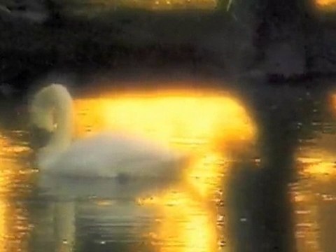 Alergolog Warszawa Dermedica. Centrum dermatologii