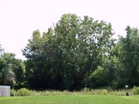 Homes for Sale - 375 Saint Charles Rd - Glen Ellyn, IL 60137