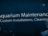 Aquarium Service in Calabasas