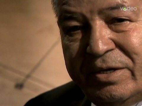 La Blessure : la tragédie des harkis