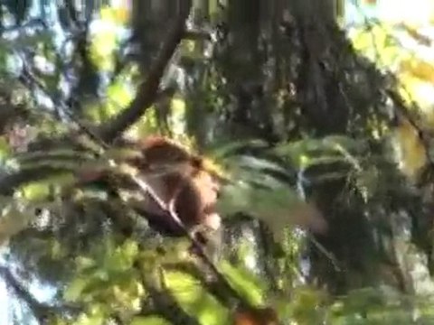 100.takaとkayoの世界旅行★ロヴァニエミinフィンランド(3日目) 世界遺産 動画