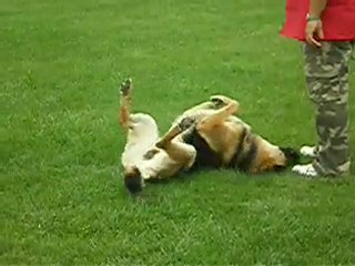 detente a titeuf  !!!  lol !!!