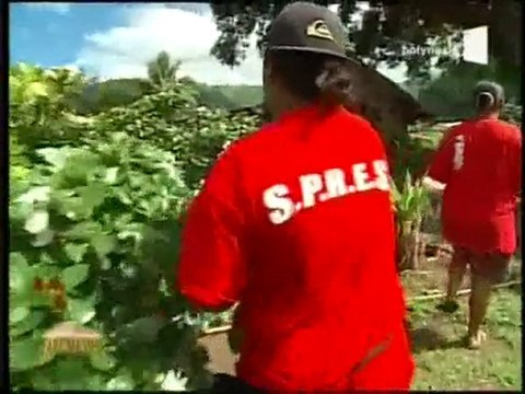 Fare Maohi Présentation 17-Tahiti Plantation