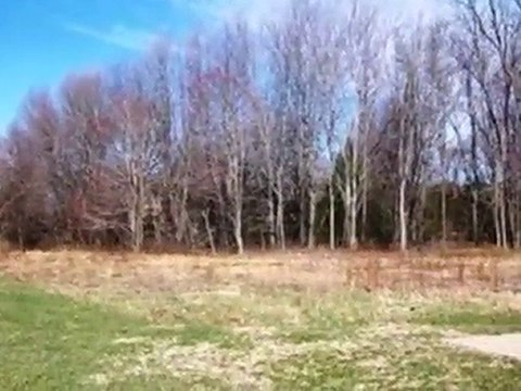 Homes for Sale - 5490 Fairview St - Stevensville, MI 49127 -