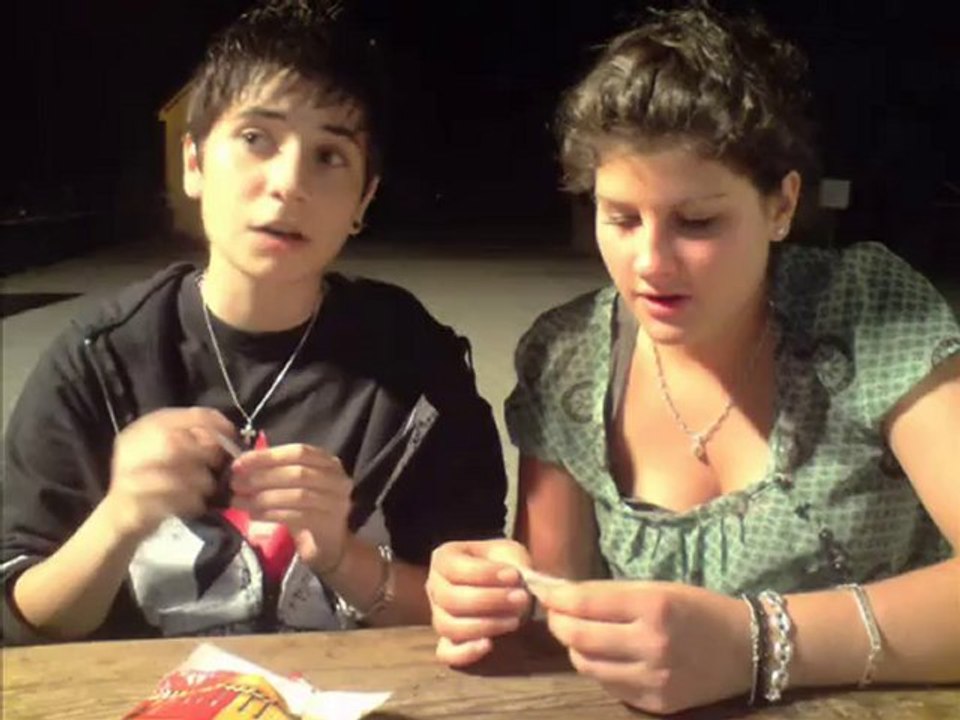 Été 2010 dans nos campagnes :)