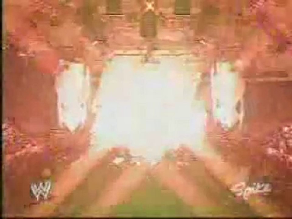 Test vs Shane McMahon