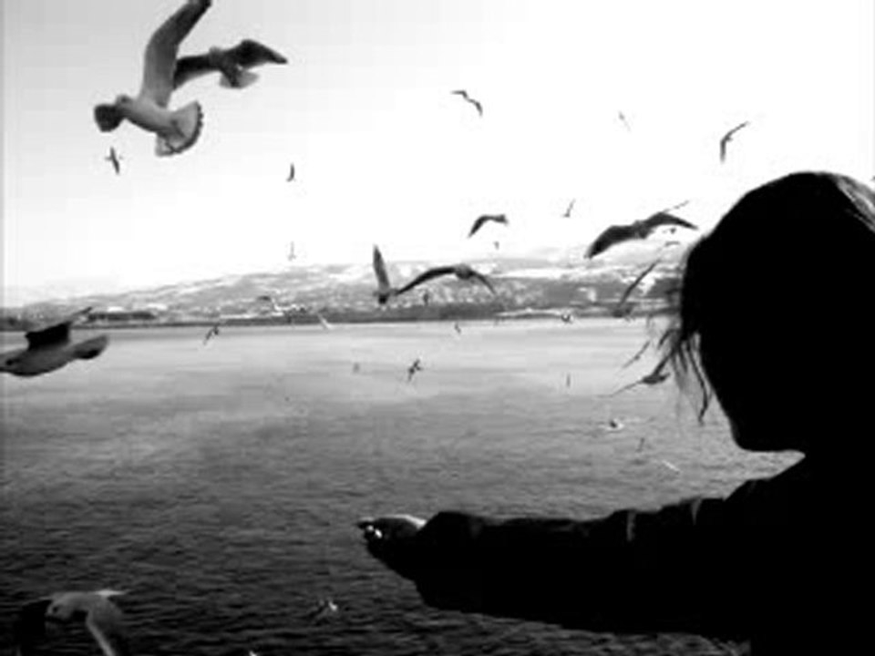 Duvağını Melekler Açsın Sevdiğim / Selman URLUCA - Fikret BA