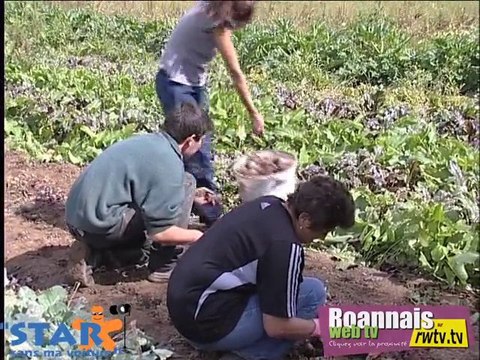 Philippe et les jardins de cocagne