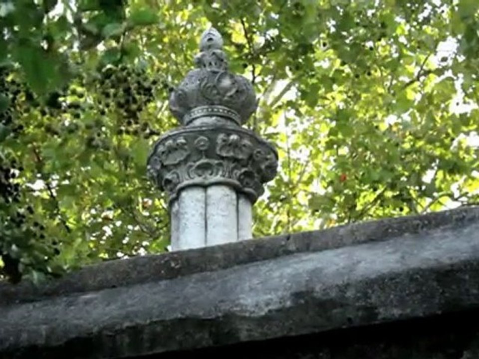 Cannonborough Historic Charleston SC Real Estate