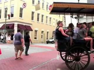 Harleston Village - Historic Charleston, SC Homes