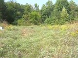 owner financing land,1.0 acres in Louisa