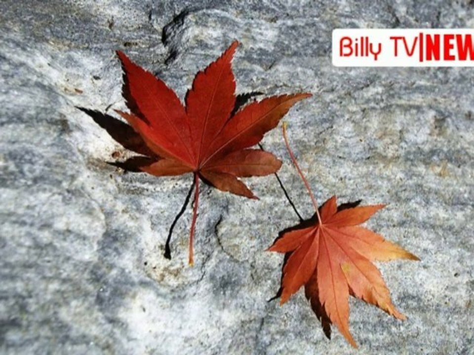 C'est l'automne!