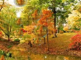 VSE NAJBOLJŠE ZA TVOJ ROJSTNI DAN - All the best for your birthday