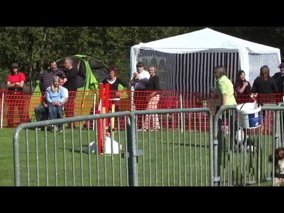 concours agility tierclet c'ven
