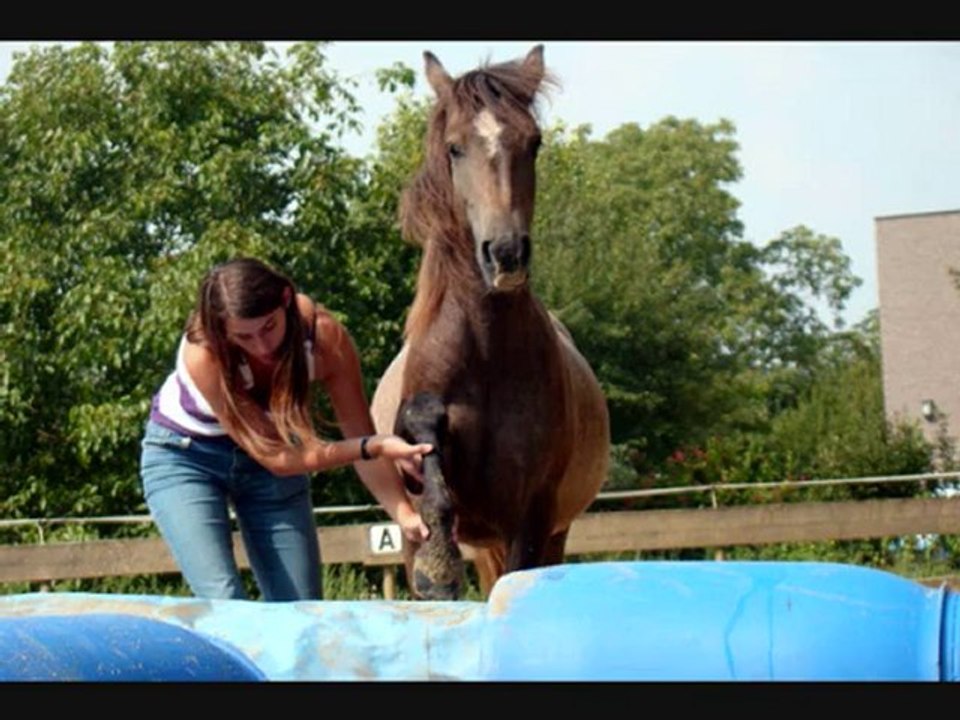 aramis juin - septembre