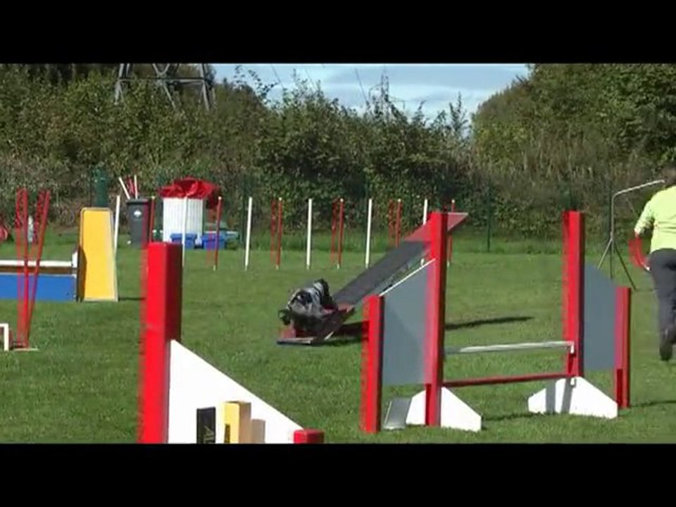 concours agility tiercelet c'ven