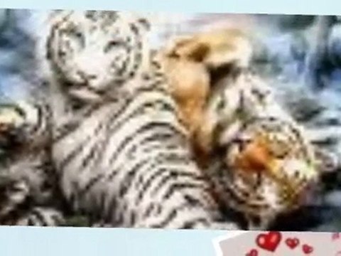 Cadeaux à mes amis et amies de fb bisous à tous