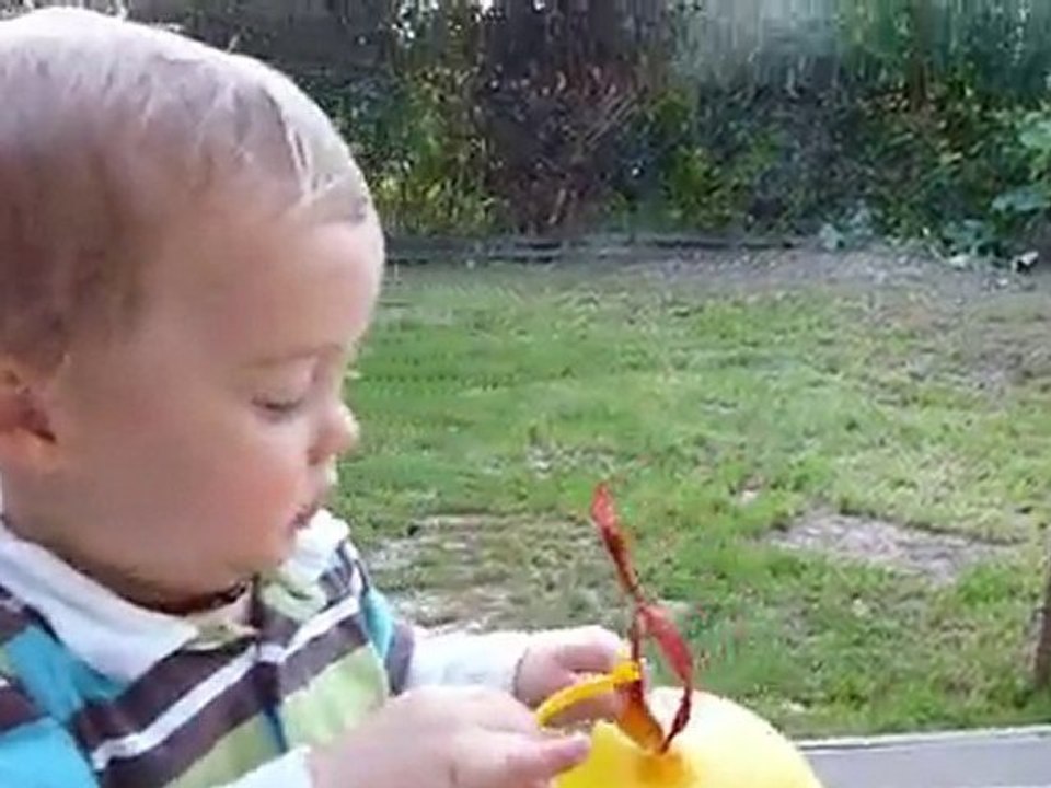 Poussin et son ballouuuuuu