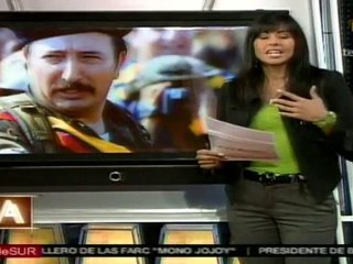 Molano narra su experiencia al entrevistar al Mono Jojoy en