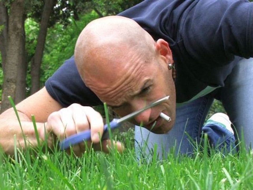 La nouvelle vie de Régis Laconi