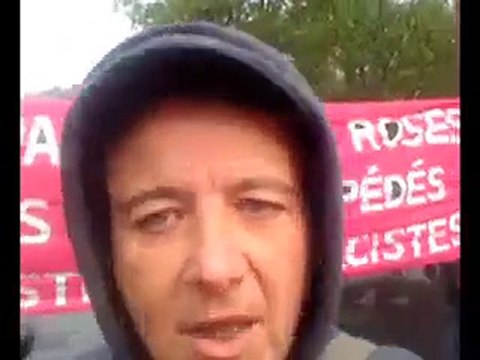 Les panthères roses