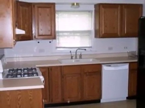 Homes for Sale - 423 Lorraine St - Glen Ellyn, IL 60137 - Co