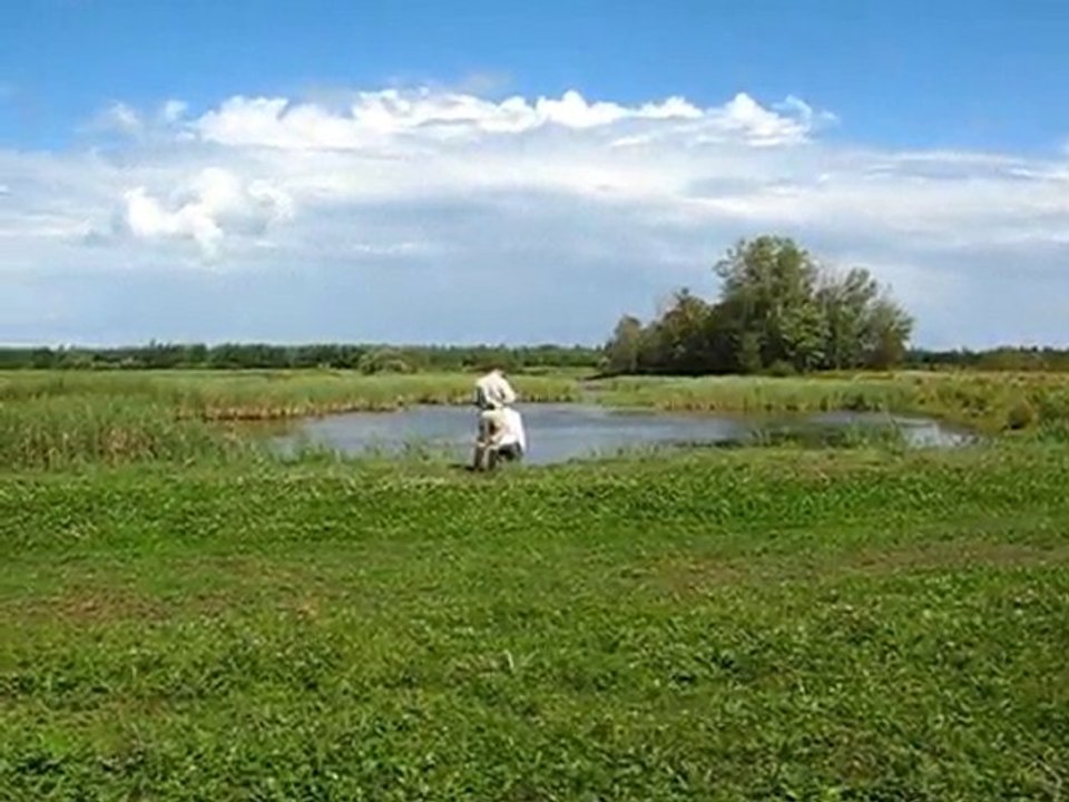 Compétition de chasse